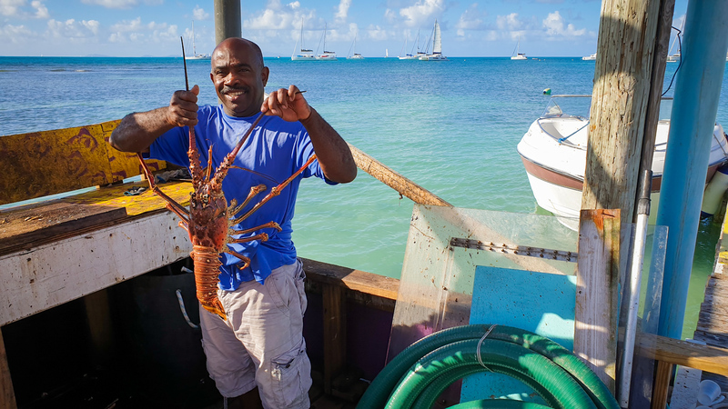 2021-11-30 (14 Tg) KARIBIK: British Virgin Islands (Katamaran-Wintertraum) - IN PLANUNG 2021-11-30 (14 Tg) KARIBIK: British Virgin Islands (Katamaran-Wintertraum) - IN PLANUNG
