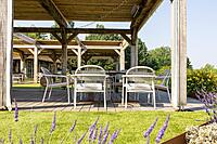 Cleo Dining Armchair