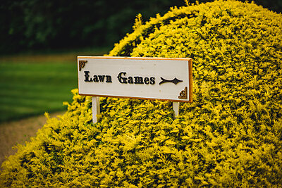 The Fun & Games Collection