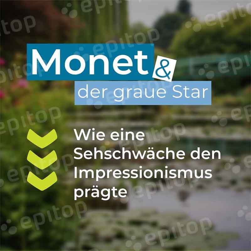 Social-Media Post "Monet&Grauer Star" Social-Media Post "Monet&Grauer Star"