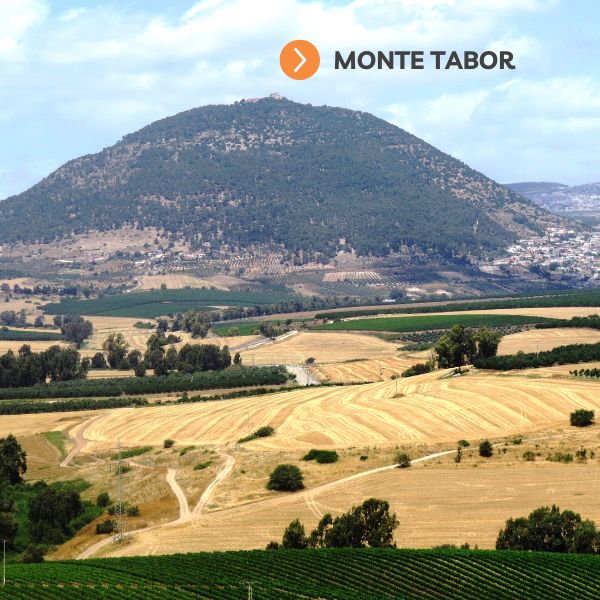 Peregrinación a Tierra Santa Peregrinación a Tierra Santa