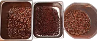 Winnower Cocoatown MD-EU