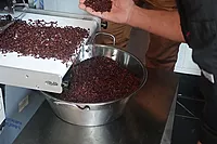 Winnower / Brecher Ninjabean-45