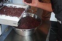 Winnower / Brecher Ninjabean-45