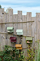 Picoti Bird Feeder Picoti Bird Feeder