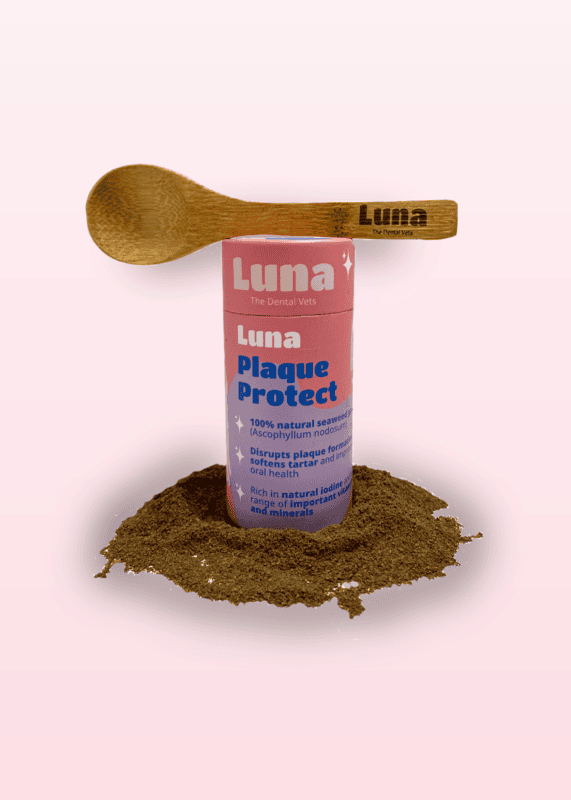 Luna Plaque Protect Wholesale Box