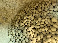 Dragiersystem FBM PANN-60