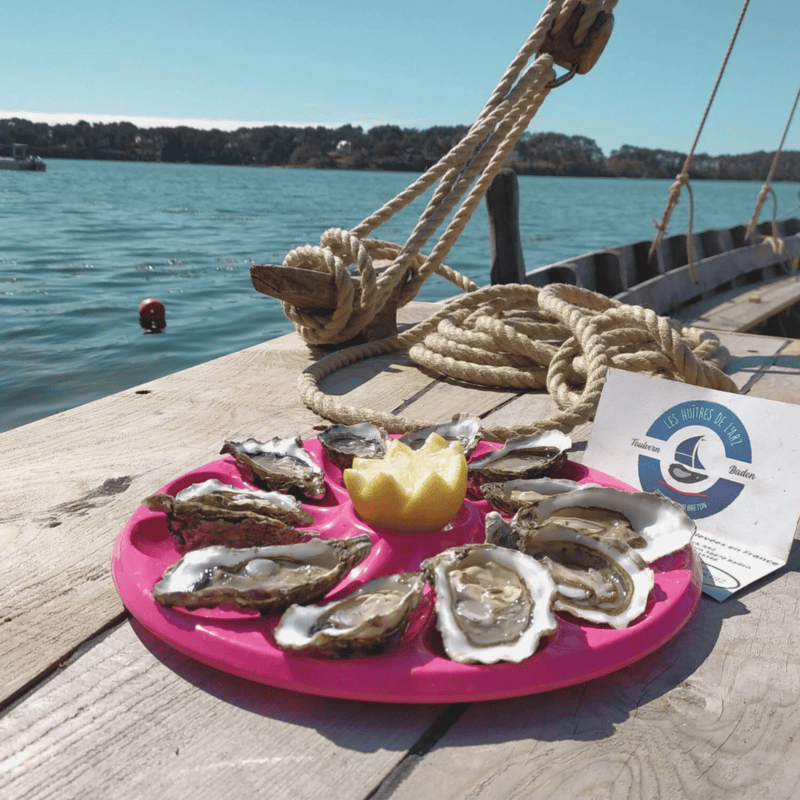 Balade Au fil de l’eau avec la Ster Avel en rivière d’Auray et du Bono Balade Au fil de l’eau avec la Ster Avel en rivière d’Auray et du Bono