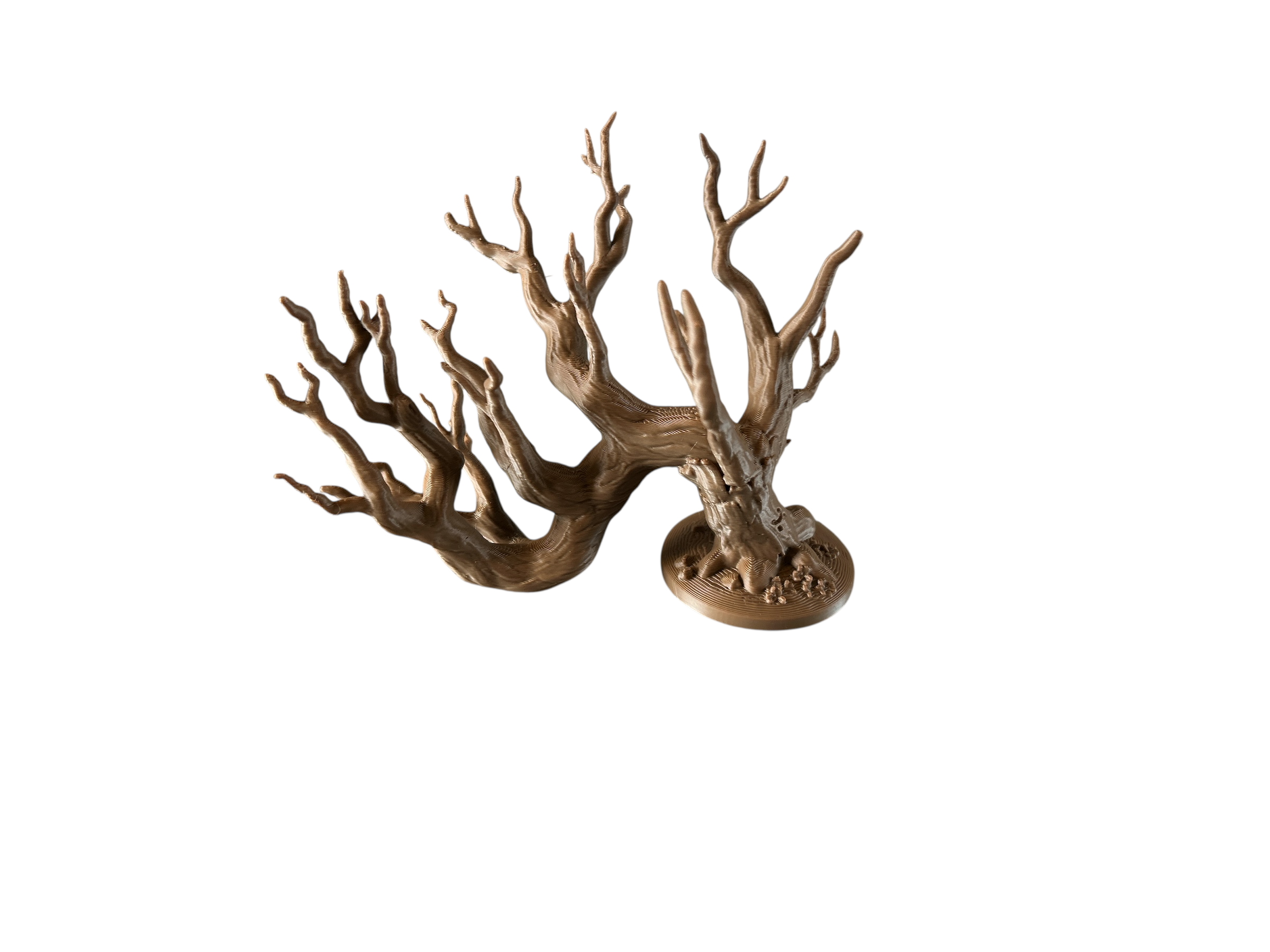 Gracewindale -  Bare Winter Tree