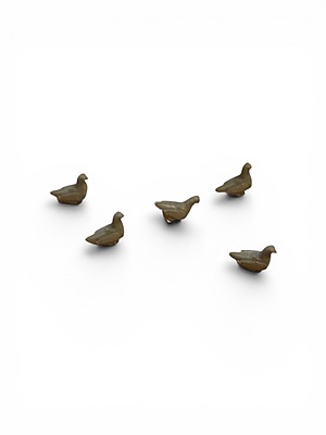 Pigeon - Wildlife accessory