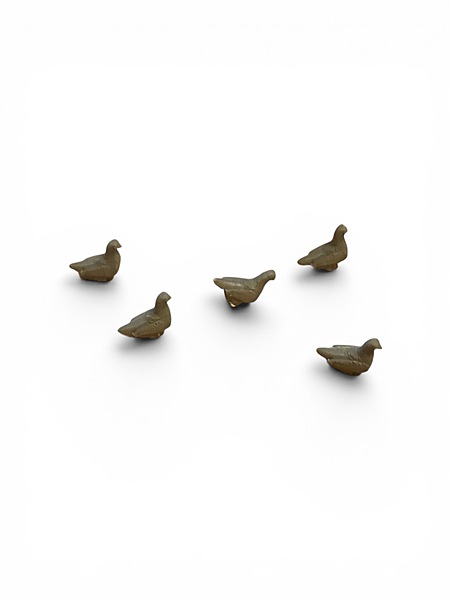 Pigeon - Wildlife accessory Pigeon - Wildlife accessory