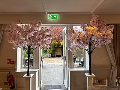 Pink Blossom Trees