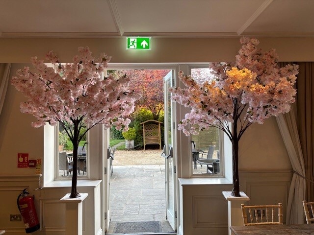 Pink Blossom Trees