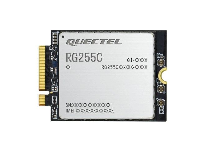 RG255CGL00AB-4M2-M20AA