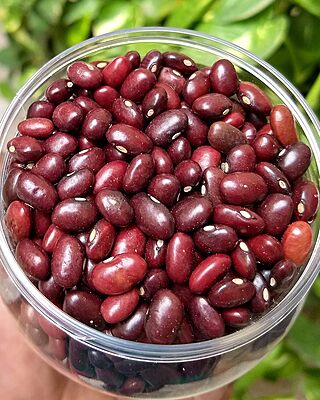 Rajma/ Red kidney Beans 1kg