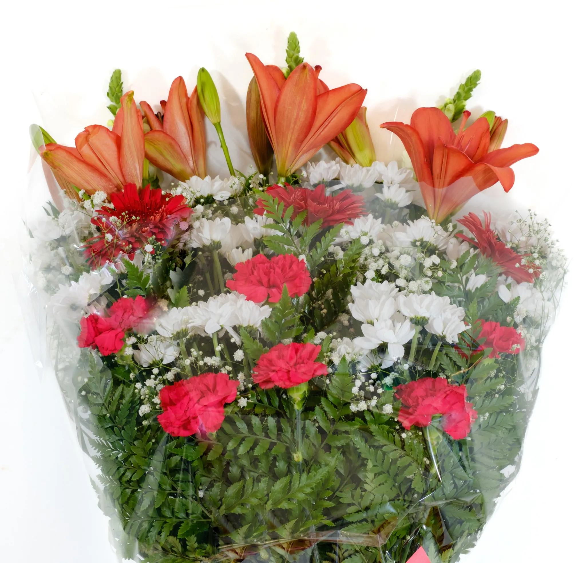 RAMO CLASSIC RAMO CLASSIC