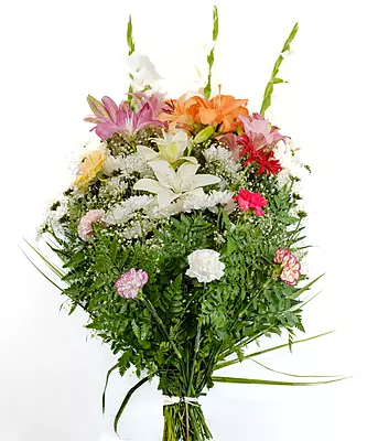 RAMO MEDIO RAMO MEDIO