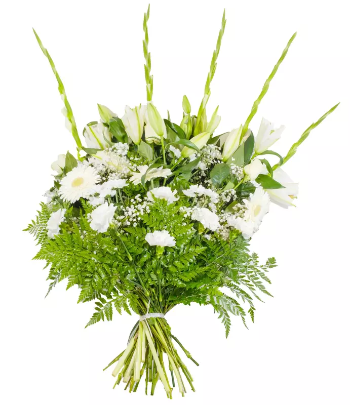 RAMO PREMIUM RAMO PREMIUM