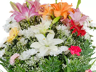 RAMO MEDIO RAMO MEDIO