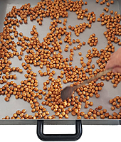 RollerSweet RS-20-Gas