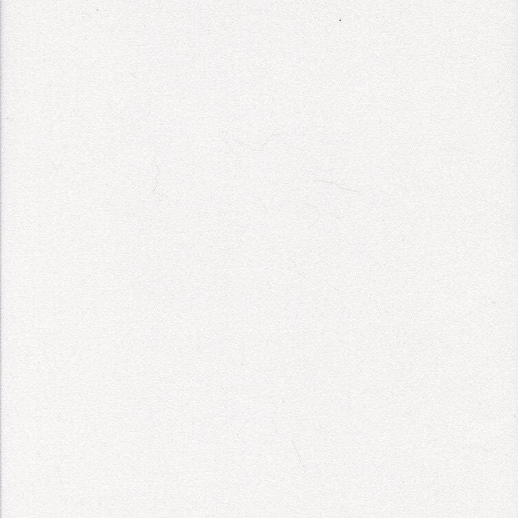 Brisbane Moss / White