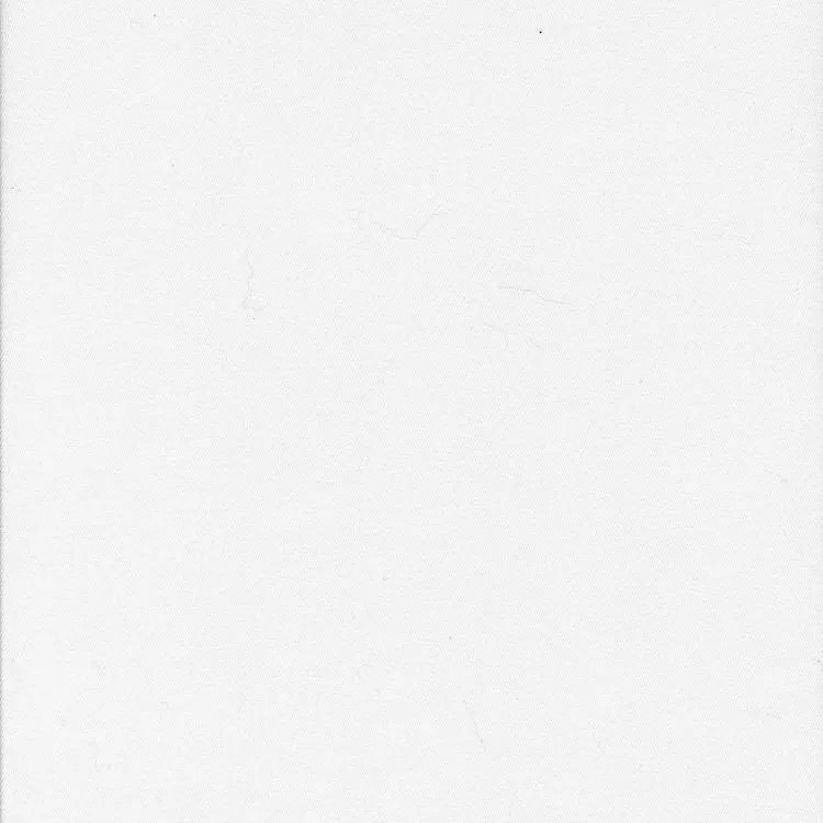 Brisbane Moss / White stretch