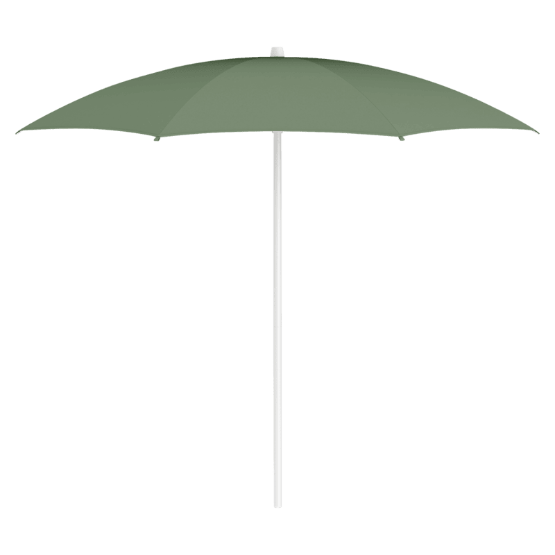 Shadoo Parasol Cactus Shadoo Parasol Cactus