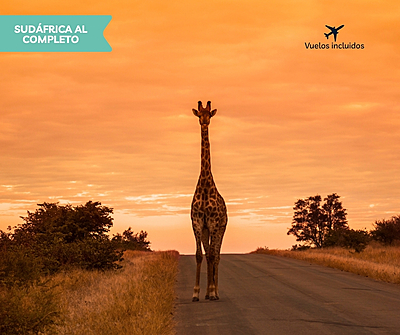 SUDÁFRICA AL COMPLETO SUDÁFRICA AL COMPLETO