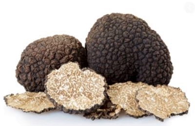 Sommartryffel (gram)