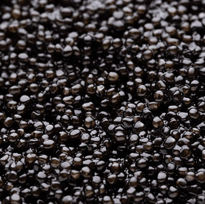 Caviar Ruso Baerii Caviar Ruso Baerii