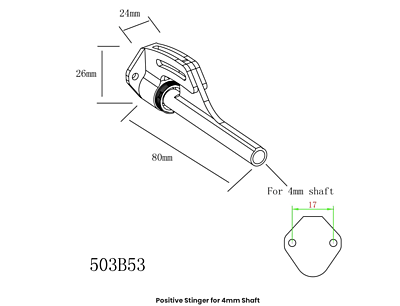 D=?4 L=80 Positive  Strut