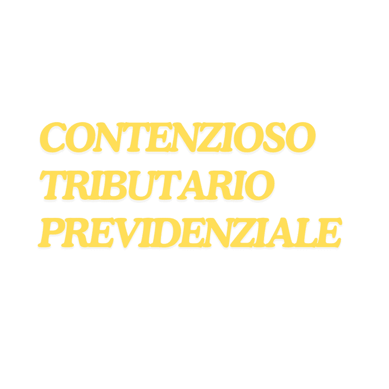 CONSULENZA PER CONTENZIOSO TRIBUTARIO E PREVEDENZIALE