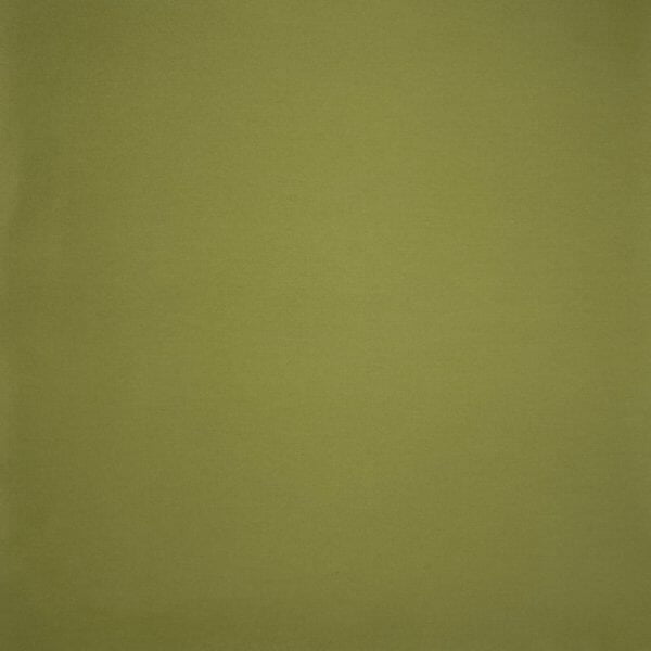 Brisbane Moss / Moss