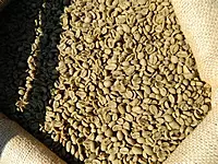 Sidamo Grade II Coffee 