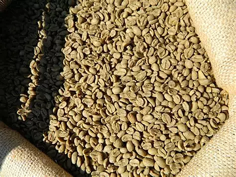 Sidamo Grade II Coffee 