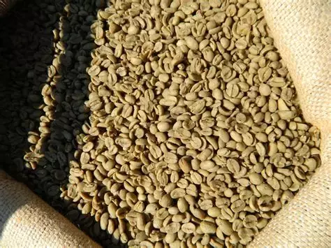 Sidamo Grade II Coffee 