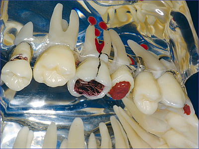 Modelo de estudio transparente de luxe Modelo de estudio transparente de luxe