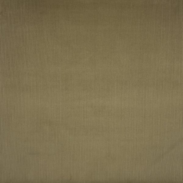 Brisbane Moss : beige