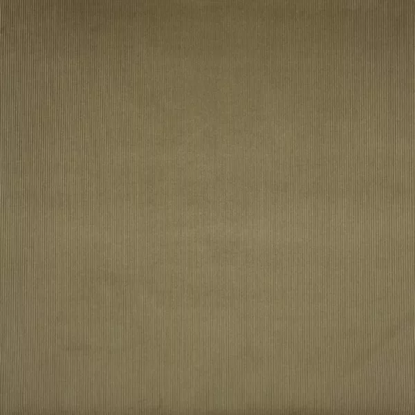 Brisbane Moss : beige