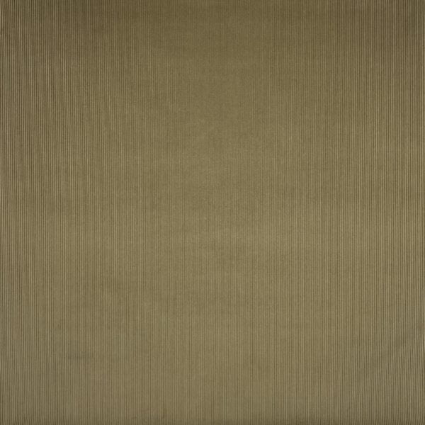 Brisbane Moss : beige