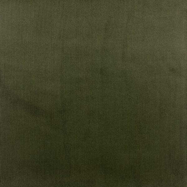 Brisbane Moss : dark olive