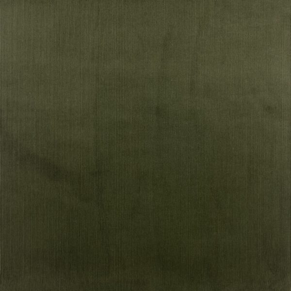 Brisbane Moss : dark olive