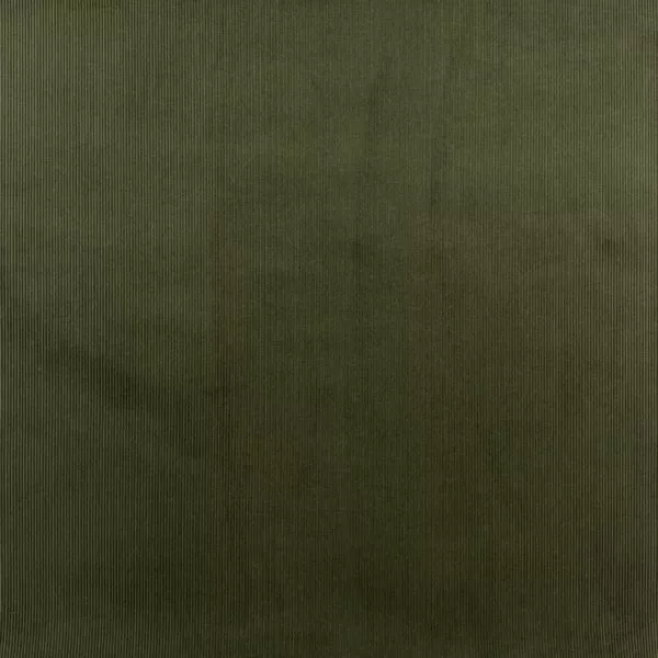Brisbane Moss : dark olive
