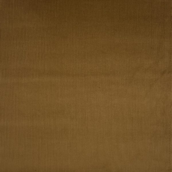 Brisbane Moss : tan