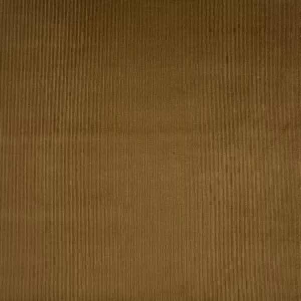 Brisbane Moss : tan