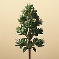 Oway purifying hair bath - oily scalps 240ml Oway purifying hair bath - oily scalps 240ml