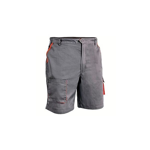 DESMAN ШОРЦОВИ