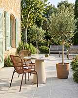 Loop Dining Chair