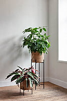 Vivi Plant Stand Small Vivi Plant Stand Small
