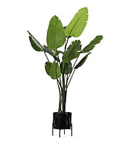 Ivo Plant Stand Small Ivo Plant Stand Small